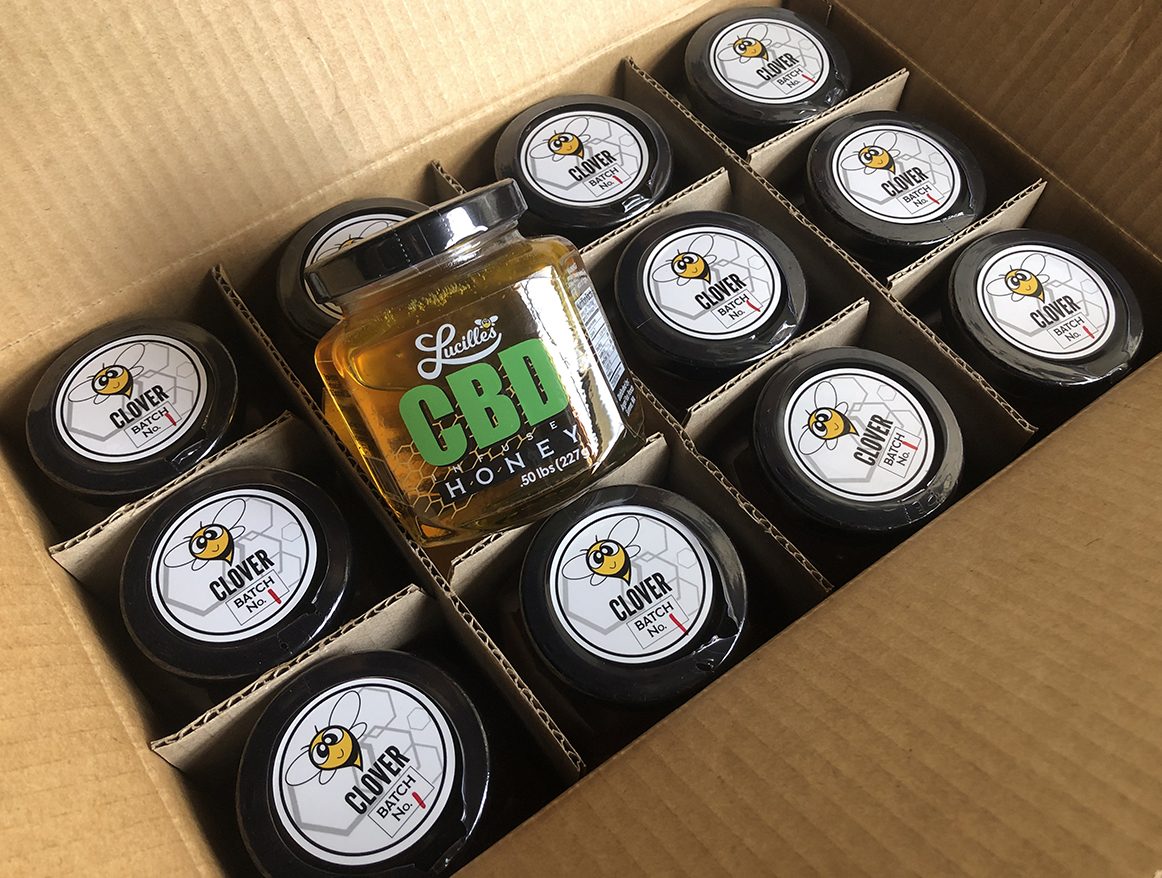 CBD Infused Case